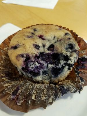 Delicious Vegan Blueberry Muffin at Zoot Coffee in Camden