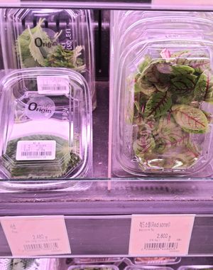 shiso leaves and red sorrel at Saruga Organic Supermarket 사러가 슈퍼마켓 in Seoul