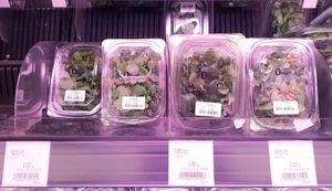four kinds of mint at Saruga Organic Supermarket 사러가 슈퍼마켓 in Seoul