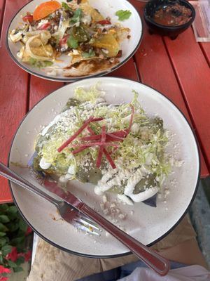 enchilada  at Tomatillo in Dobbs Ferry