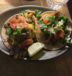 Mushroom tacos  at Tomatillo in Dobbs Ferry
