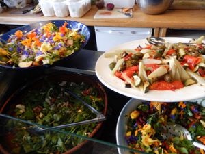 some of the salads in the buffet at Seeds 2 Cafe in Totnes