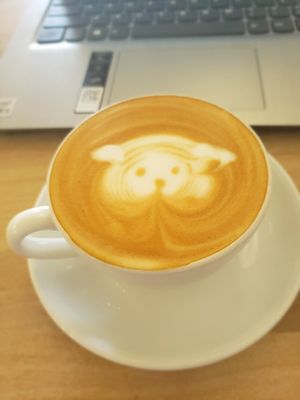  at Boomtown Coffee in Houston