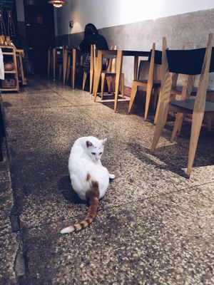 Kitty at MuYe - Mottainai in Kaohsiung