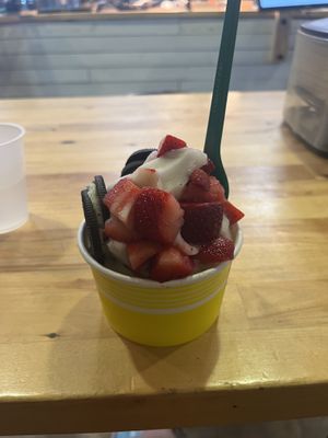 vegan vanilla froyo  at Homespun Kitchen - Previously Happy Cup in Atlantic Beach