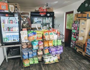 Front counter at Dinosaurs - Boardman Pl in San Francisco