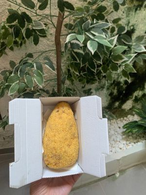 Still as large as my head but now 8€!  at Arancinaglutenfree in Siracusa