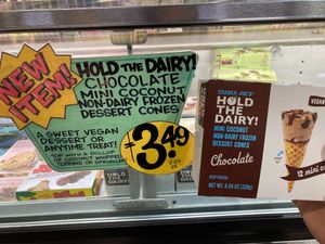 Chocolate coconut ice cream cones at Trader Joe's - Nob Hill in San Francisco