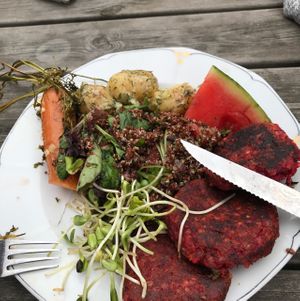 Vegan dish of the day. at Kafe Helsa pa in Ystad