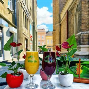 Wake Up 100% Natural and Healthy :) at Wake Up Juice Bar in Novi Sad