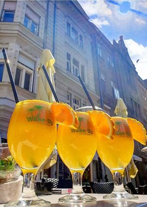 Fresh juicy oranges 🍊🍊🍊 at Wake Up Juice Bar in Novi Sad