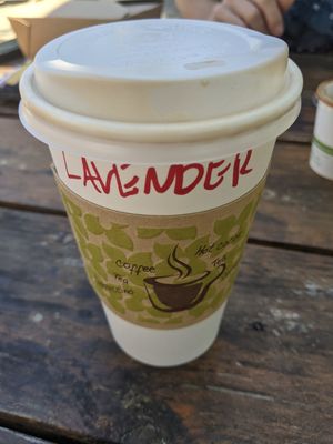 Medium lavender latte at Fat Cats in Austin