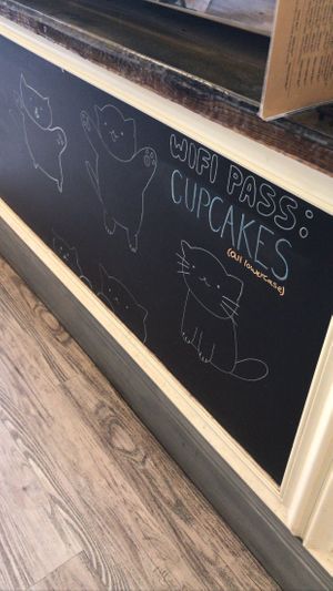 s’cute  at Fat Cats in Austin