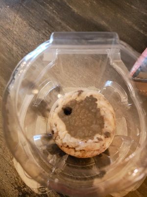 Cheese cake #Veganuary at Fat Cats in Austin