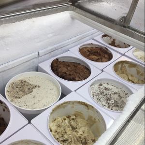 vegan ice creams at Fat Cats in Austin