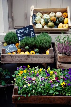 aromatics at Aloha Cafe in Santana