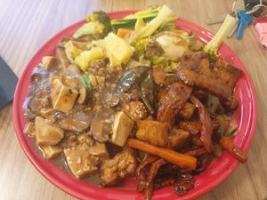 Mapo tofu, seitan duck curry and ... I can't remember the other one but it was great! July 2024. at Thai Veggie Hutt in Hobart