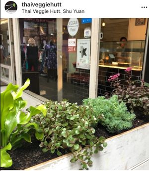 Vegan and vegetarian at Thai Veggie Hutt in Hobart