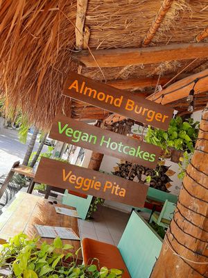 Great environment at Bio-Organicos in Playa Del Carmen