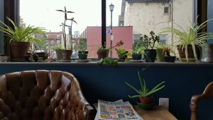 so cozy at Grindhaus Cafe in Buffalo