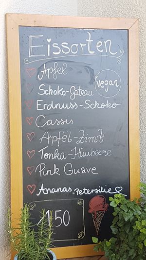 changing gelato menu - all vegan at Einzig in Bad Vilbel