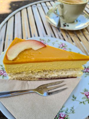  at Einzig in Bad Vilbel