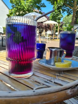 Hausgemachte Limonade at Einzig in Bad Vilbel