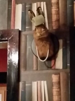 dead animals on the walls. sit in main dining room not bar to avoid at Mosaic in Swansea