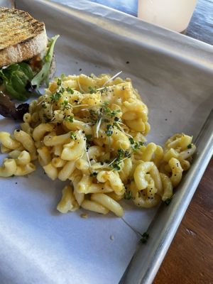 Mac n Cheeze  #Veganuary at The Nile in Mesa