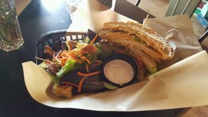 Squawker Texas Ranger at The Nile in Mesa