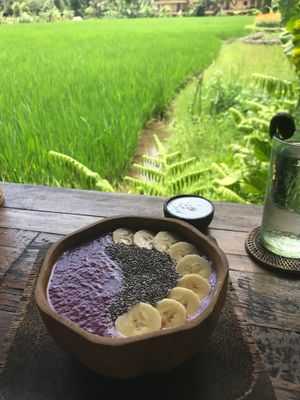 acai bowl at Atman Kafe in Ubud