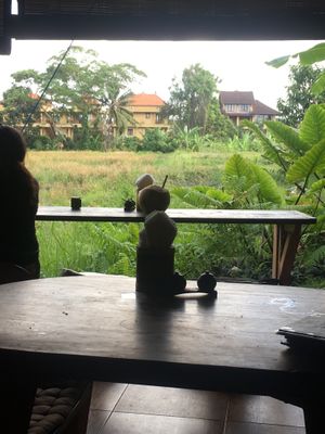 View out of the back of the restaurant; rice fields  at Atman Kafe in Ubud