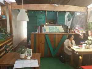 inside  at The Green House in Tijuana