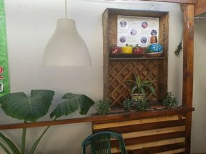 inside at The Green House in Tijuana