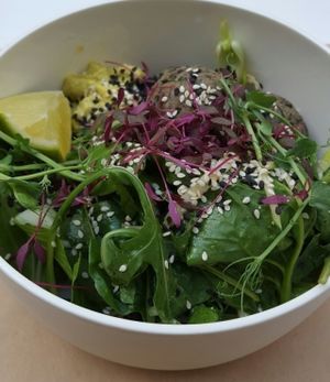 falafel  at KM20 in Moscow