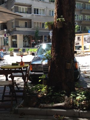 Seats outside at Living Nature in Varna