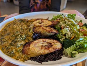 Stew at Rawtopia Living Cuisine and Beyond in Millcreek