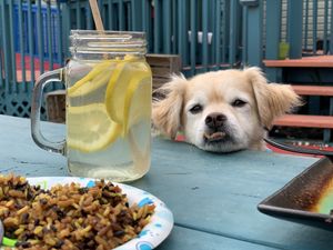 Lemon water, paella rice and my Pichu  at Eden's Vegan Juice Bar Cafe in Palm Coast