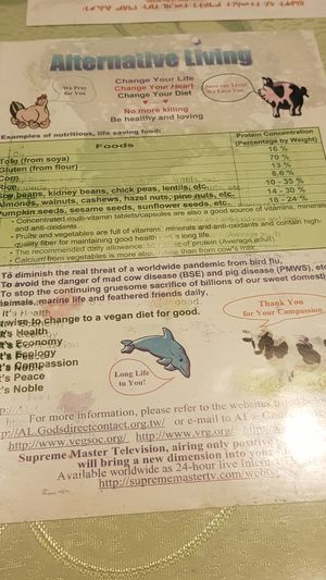 Notes at Loving Hut in Addis Ababa