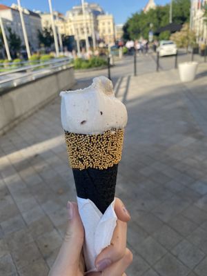   at Koun in Bratislava