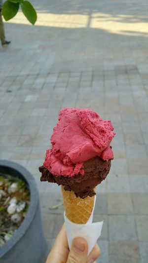 Vegan chocolate and blackberries sorbet at Koun in Bratislava