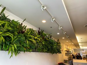 Aesthetics  at Alchemy - Southside in Columbus