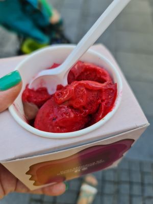 Raspberry and dark chocolate at Icebox in Belgrade