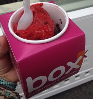 Dark Chocolate & Raspberry at Icebox in Belgrade