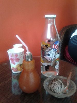 Tasty chocolate icecream and fresh juice! at The Real Green Cafe in Pune