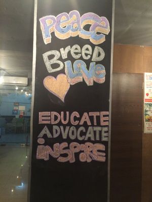 Awesome Chalk Art on the walls at The Real Green Cafe in Pune