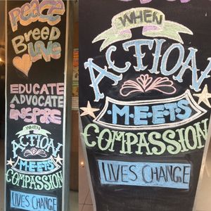 Chalk Art  at The Real Green Cafe in Pune