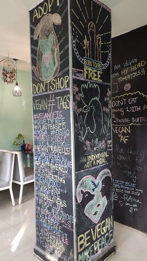  Cute decor at The Real Green Cafe in Pune