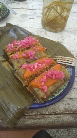 Tamale assortment (2) at Suculenta in Tulum