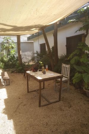 Front and rear seating available at Suculenta in Tulum